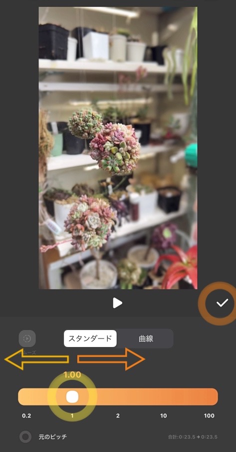 多肉植物のタイムラプス動画編集方法