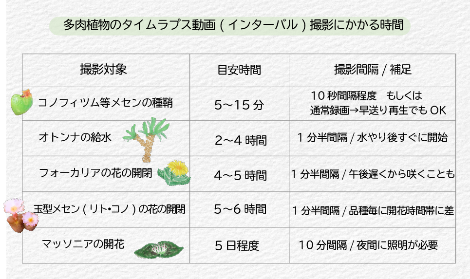 多肉植物ごとのタイムラプス撮影にかかる時間